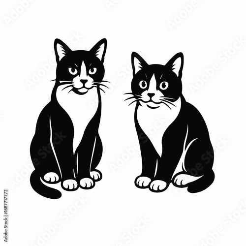 Two Black and White Cats