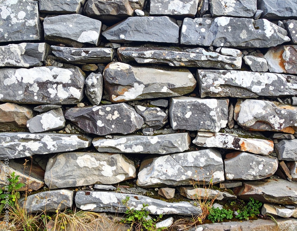 Fototapeta premium Gray stone wall texture (1) 
