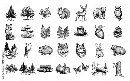 Forest animals trees and plants sketch collection set