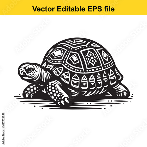  decorative tortoise illustration isolated on white background