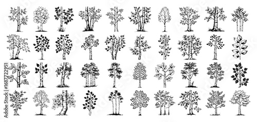 Trees and foliage sketch collection set