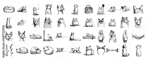 Cat poses faces and accessories doodle sketch collection set