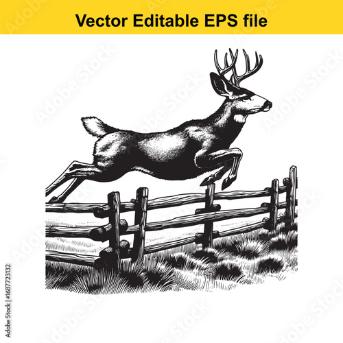  buck deer jumping over wooden fence in a field, isolated on white background