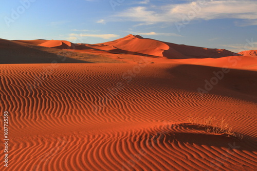 Red dunes at Sossusvlei, Namibia