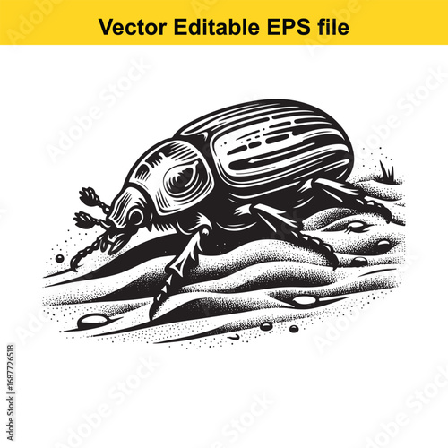  detailed illustration of a beetle crawling on textured ground, isolated on white background