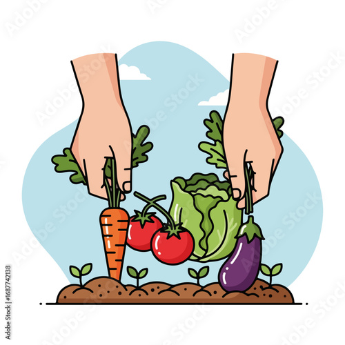 Hands picking vegetables including carrot, tomatoes, cabbage, and eggplant in an agricultural scene, hands picking vegetables from garden soil. With hands picking vegetables,