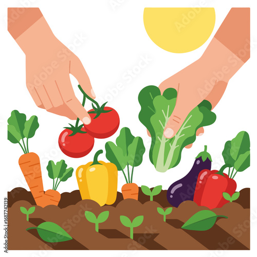 Hands picking vegetables, a delightful activity in backyard gardens, offering fresh produce. Hands picking vegetables, carrots, tomatoes, and lettuce, showcase simple act.
