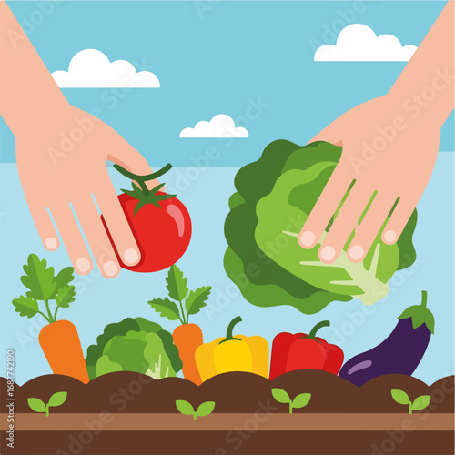 Hands picking vegetables in garden for fresh harvest season, with diverse produce ready for market. Hands picking vegetables from fertile soil shows local farming initiative.
