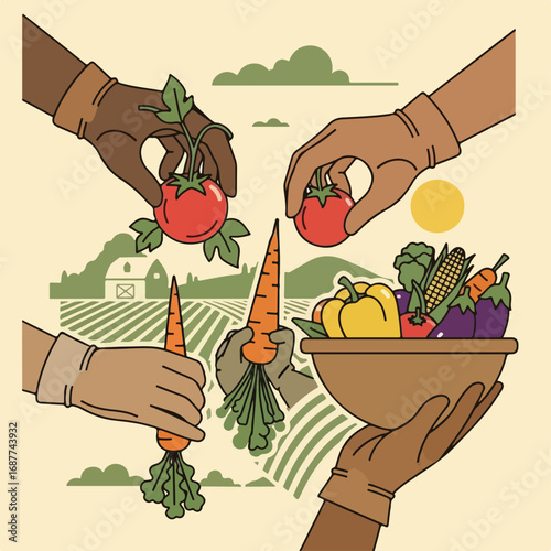 Hands picking fresh vegetables from farm field.  Harvesting includes ripe tomatoes and carrots, bell peppers and corn.  Farm-to-table concept for food blogs and farmers markets.