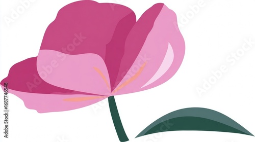 Pink rose flower vector illustration, floral spring blossom design on a white background