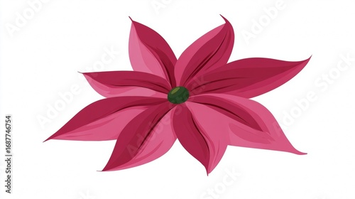 Red and pink flower vector illustration design isolated on white background with leaf and petal element