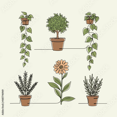 Home gardening plants collection with botanical flower and leafy plants displayed in pots, home gardening plants thrive on shelves. This home gardening plants arrangement captures growing beauty,