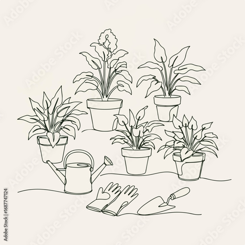 Home gardening plants sketched with simple lines showing indoor potted plants and gardening tools. Home gardening plants including watering can, gloves, and trowel,