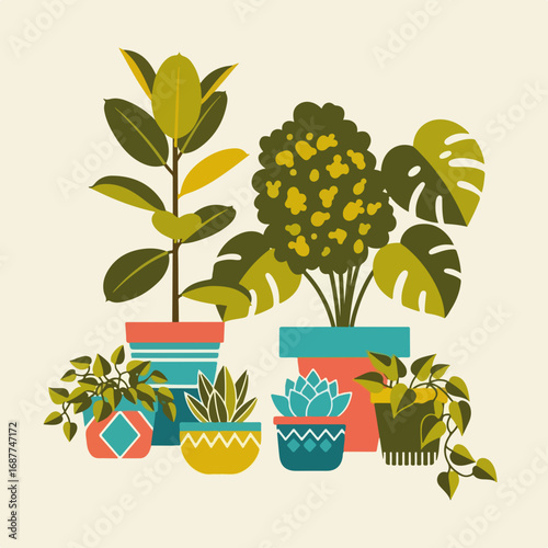 Home gardening plants assortment in colorful pots is featured in this illustration, home gardening plants offer vibrant foliage.