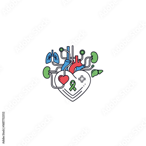 Donation of organs in an abstract shape with connected parts is featured, donation conveys health and wellness, showing anatomical heart, lung, liver, kidneys.