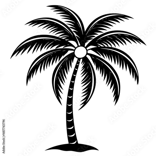 silhouette of palm trees