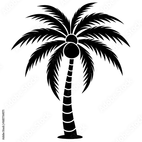 palm tree vector illustration