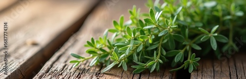Wallpaper Mural Bundle of wild green thyme sprigs rests on weathered brown wooden planks. Tiny leaves create textured foliage on this natural herb, perfect for culinary, medicinal, or aromatherapy themes. Torontodigital.ca