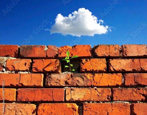Green sprout in cracked brick wall
