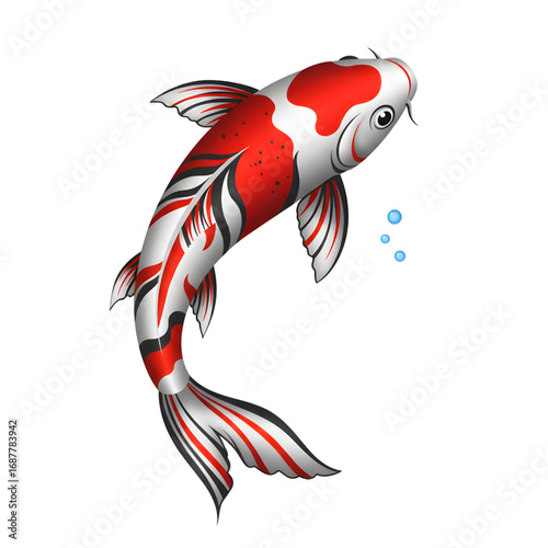 Colorful koi fish drawing with clear details and transparent background