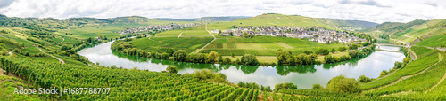 Panorama from Moselle river meandering through vineyards and picturesque Traben Trabach village in germany