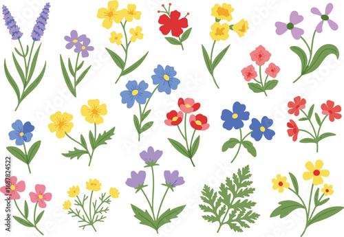 Vibrant and colorful wildflower meadow illustration with diverse blooms