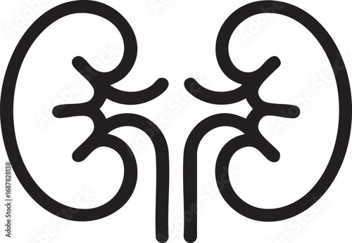 Black And White Minimalist Vector Illustration Of Human Kidneys Internal Organ Anatomy Icon In Simple Bold Line Style