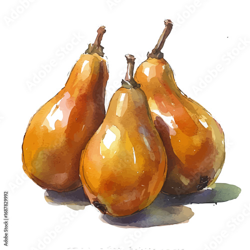 watercolor of Jujube, vector, isolated on a white background.