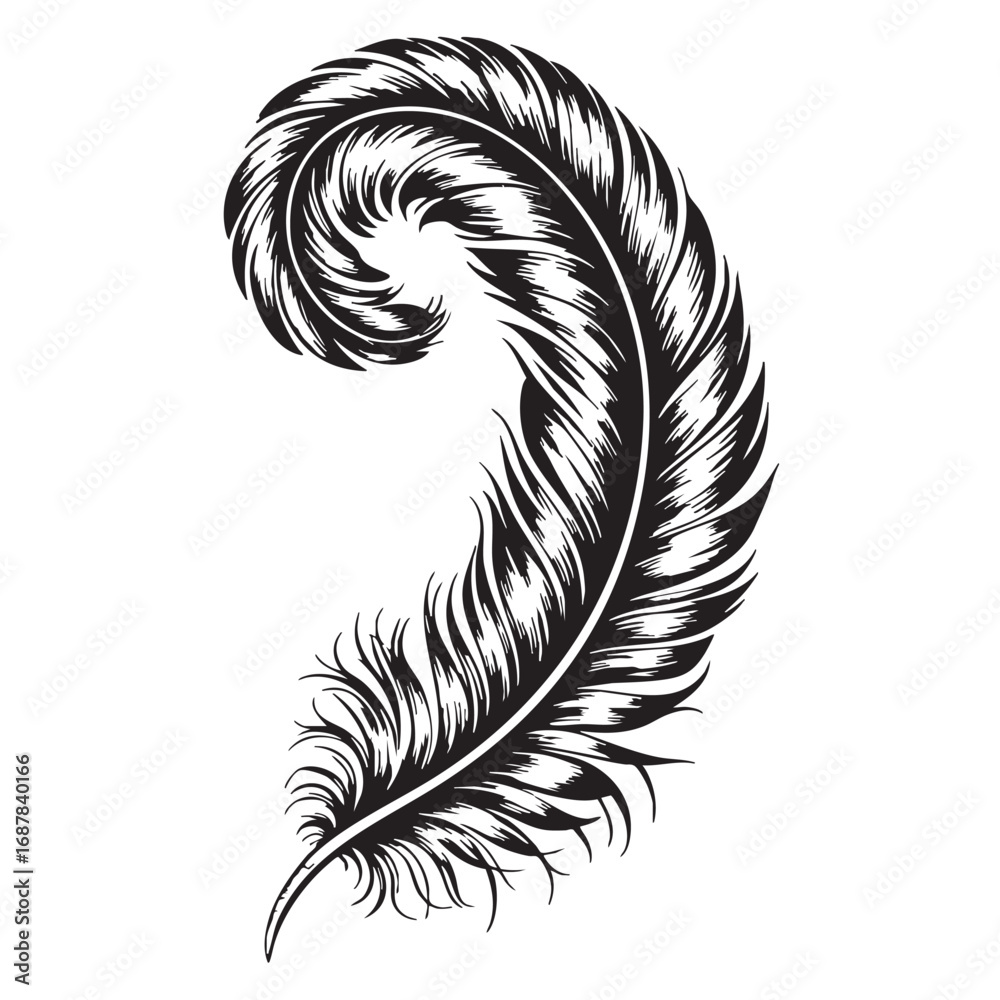 Obraz premium Elegant black feather silhouette vector