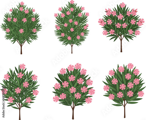 Flowering shrub and small tree botanical illustration set, green foliage with pink blossoms, horticultural plant reference, garden landscaping design, vector art collection