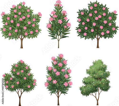 Flowering trees and shrubs with pink blossoms, botanical garden plants, lush green foliage, spring floral landscape, ornamental horticulture, nature illustration, detailed vector art