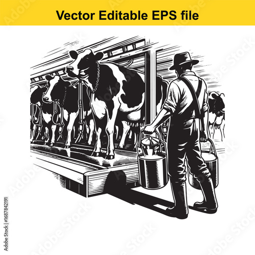 Farmer milking cow in barn with milk cans, vector illustration