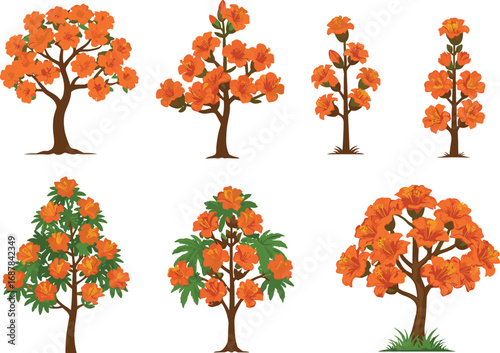 Orange flowering trees and plants botanical illustration set, various species with green leaves, detailed floral vector art, nature garden design elements, isolated collection