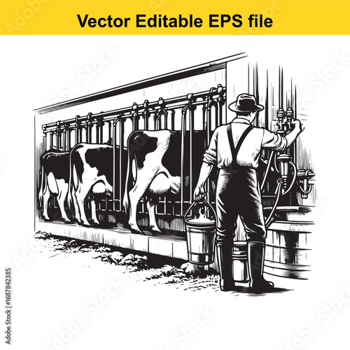 Farmer milking cow in barn with modern equipment, vector illustration