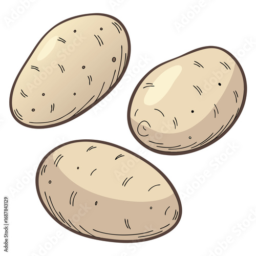 Three fresh potatoes isolated on a white background
