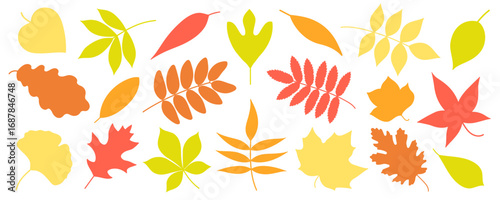 Collection of bright and colorful autumn leaves in various shapes. Simple fall leaf set for scrapbooking, background, card, pattern, banner, textile, crafts, packaging, printable, kids design.