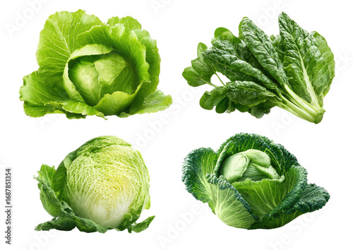 Four varieties of green leafy vegetables, close-up