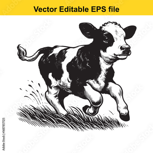 A black and white drawing of a calf running in grass