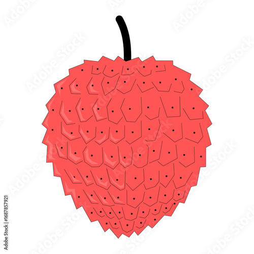 lychee. fruit theme. agriculture. harvest. vector illustration