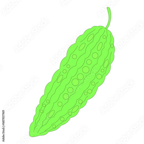 bitter melon. vegetable theme. agriculture. harvest. vector illustration