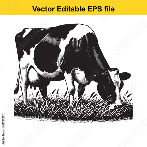 Black and white illustration of a cow grazing in a field, isolated on white background