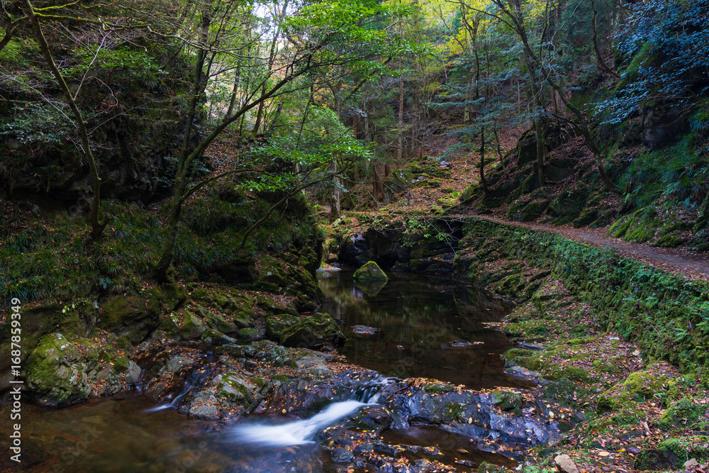 Obraz premium 日本の風景・秋 三重県名張市 紅葉の赤目四十八滝