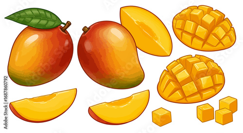 Vector illustration of mango fruit in colorful cartoon style