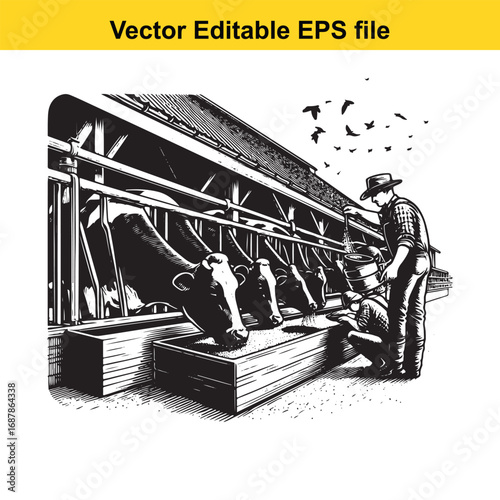 Farmer feeding cow in barn, vector illustration
