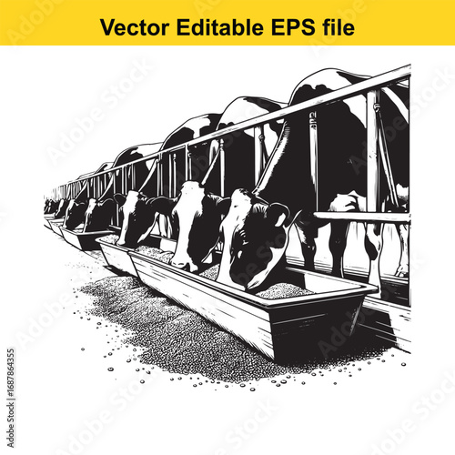 Cows eating from a trough in a farm, vector illustration