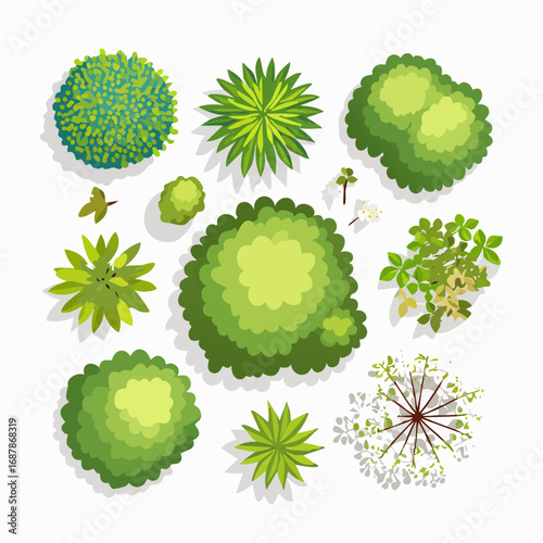 Vector set of Top view green tree for outdoor plan or map and architecture drawing, elements for environment and garden ,botanical elements