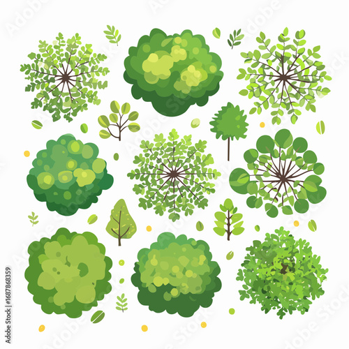 Vector set of Top view green tree for outdoor plan or map and architecture drawing, elements for environment and garden ,botanical elements