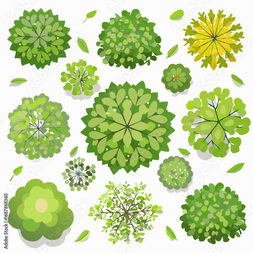 Vector set of Top view green tree for outdoor plan or map and architecture drawing, elements for environment and garden ,botanical elements