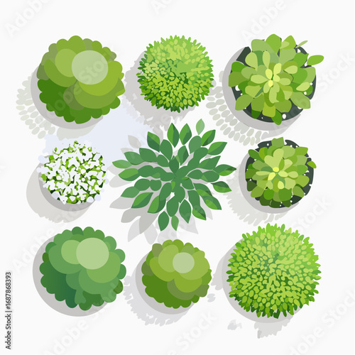 Vector set of Top view green tree for outdoor plan or map and architecture drawing, elements for environment and garden ,botanical elements