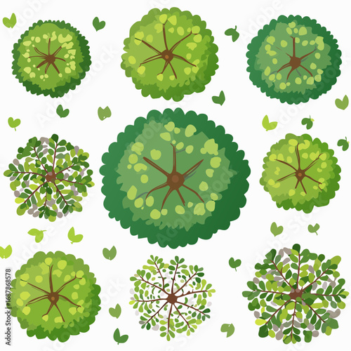 Vector set of Top view green tree for outdoor plan or map and architecture drawing, elements for environment and garden ,botanical elements